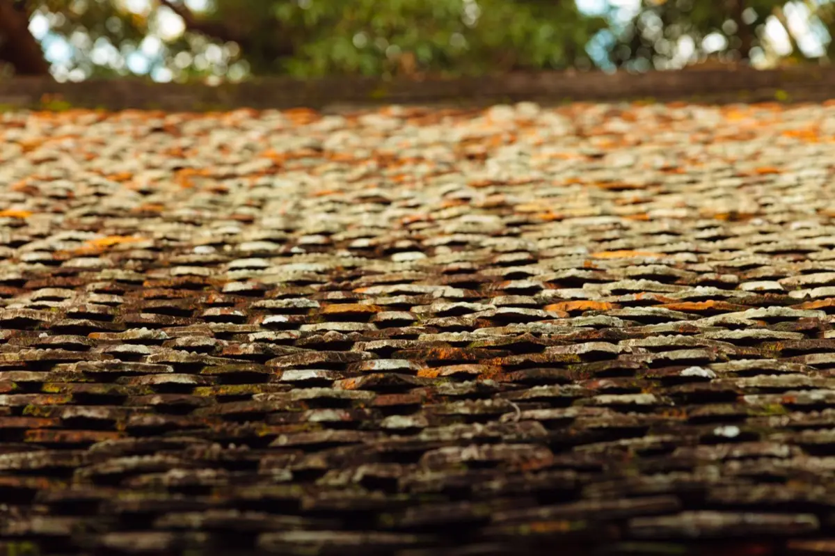 Aging shingle roof with moss growth and granule loss in Champaign, IL